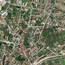 Nelas map(satellite map)