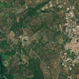 Controne map(satellite map)