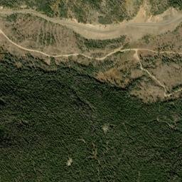 Willey Lumber Camp Colorado High Resolution Satellite Map