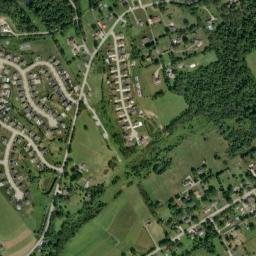 Plum map(satellite map)