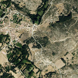 Navacepedilla de Corneja map(satellite map)