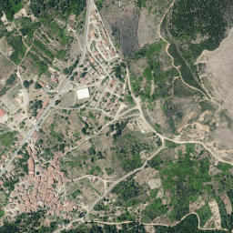 Cepeda map(satellite map)