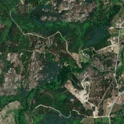 Carregal do Sal map(satellite map)