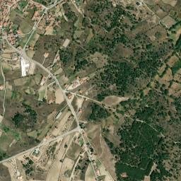 Bismula map(satellite map)
