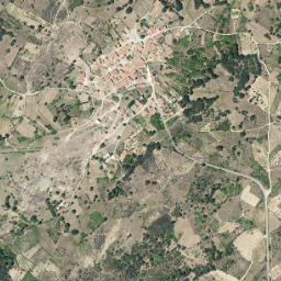 Pinedas map(satellite map)