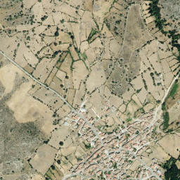 Medinilla map(satellite map)