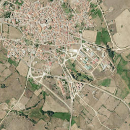 Fuenteguinaldo map(satellite map)