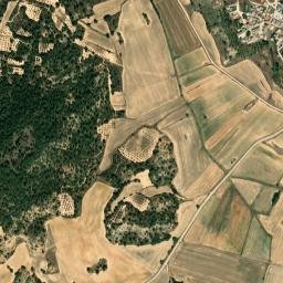 San Pedro Palmiches map(satellite map)