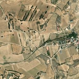 Alcohujate map(satellite map)