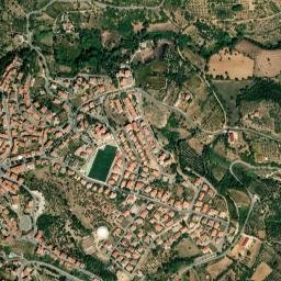 Bono map(satellite map)