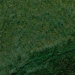 Dauphin County map(satellite map)