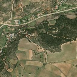 Escariche map(satellite map)