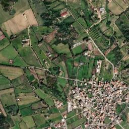 Loculi map(satellite map)