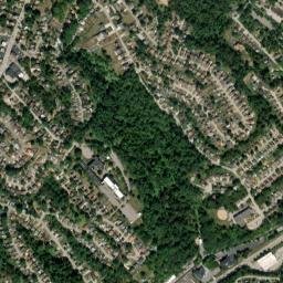 Green Tree map(satellite map)