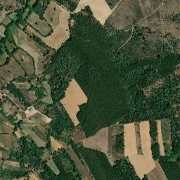 Nave map(satellite map)