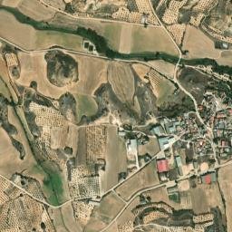 Cañaveruelas map(satellite map)