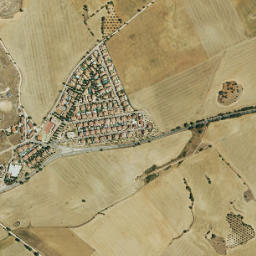 Pozuelo del Rey map(satellite map)