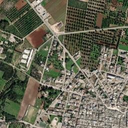 Torricella map(satellite map)