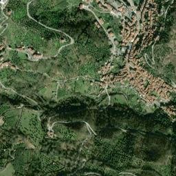 Piaggine map(satellite map)