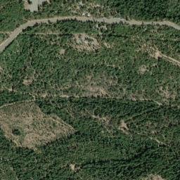 17701 Tramway Rd, Paynes Creek, CA 96075, USA High Resolution Satellite Map