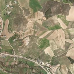 Albares map(satellite map)