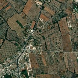 Pisignano map(satellite map)