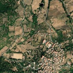 Oniferi map(satellite map)