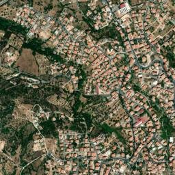 Oliena map(satellite map)