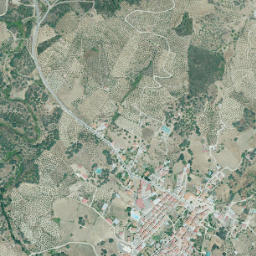 Palomero map(satellite map)