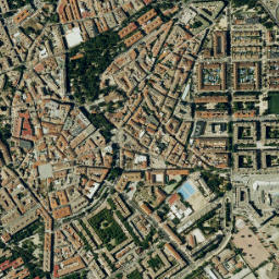 Pinto map(satellite map)