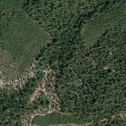 Yellowjacket California High Resolution Satellite Map