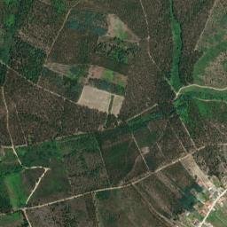 Vila Nova de Poiares map(satellite map)