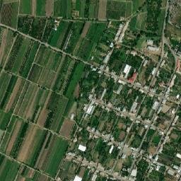 Doghs map(satellite map)