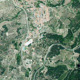 San Martín de Trevejo map(satellite map)