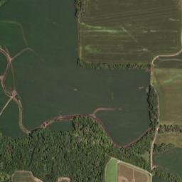 Gentry County map(satellite map)