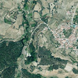 Santa Cruz de Paniagua map(satellite map)