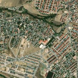 Carranque map(satellite map)