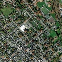 Manheim map(satellite map)