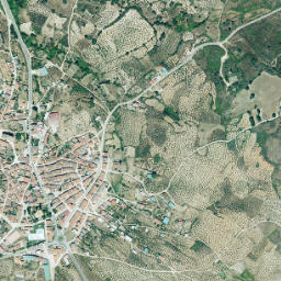 Pozuelo de Zarzón map(satellite map)