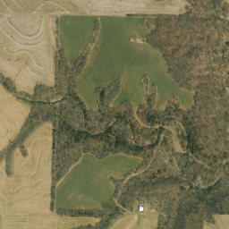 Canton map(satellite map)