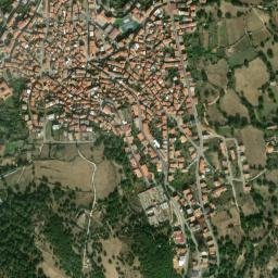 Fonni map(satellite map)