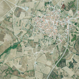 Guijo de Coria map(satellite map)