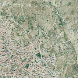 Montehermoso map(satellite map)
