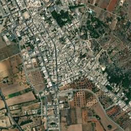 Sannicola map(satellite map)