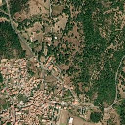 Austis map(satellite map)