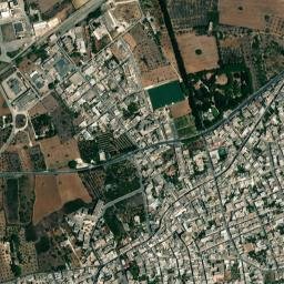 Alezio map(satellite map)
