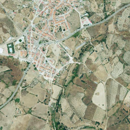 Calzadilla map(satellite map)