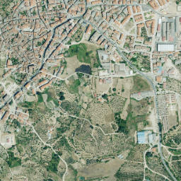 Jaraíz de la Vera map(satellite map)