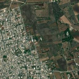 Nociglia map(satellite map)
