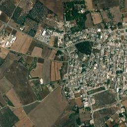Vitigliano map(satellite map)